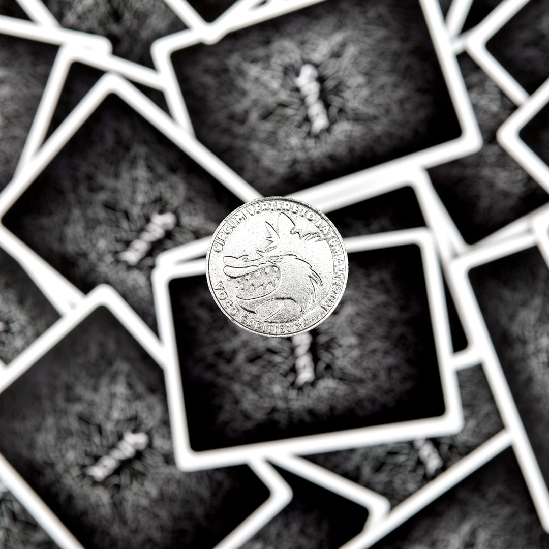 Silver Coin